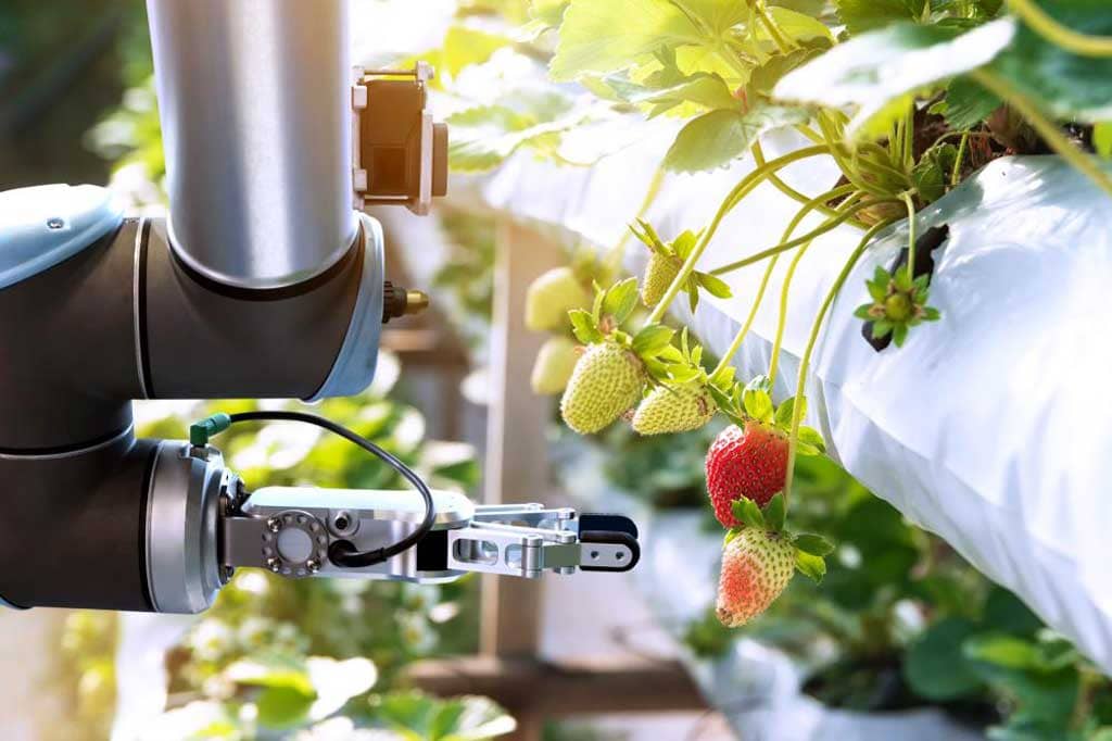 The Food Technology Challenge announces that 30 global startups have qualified for a $2 million prize