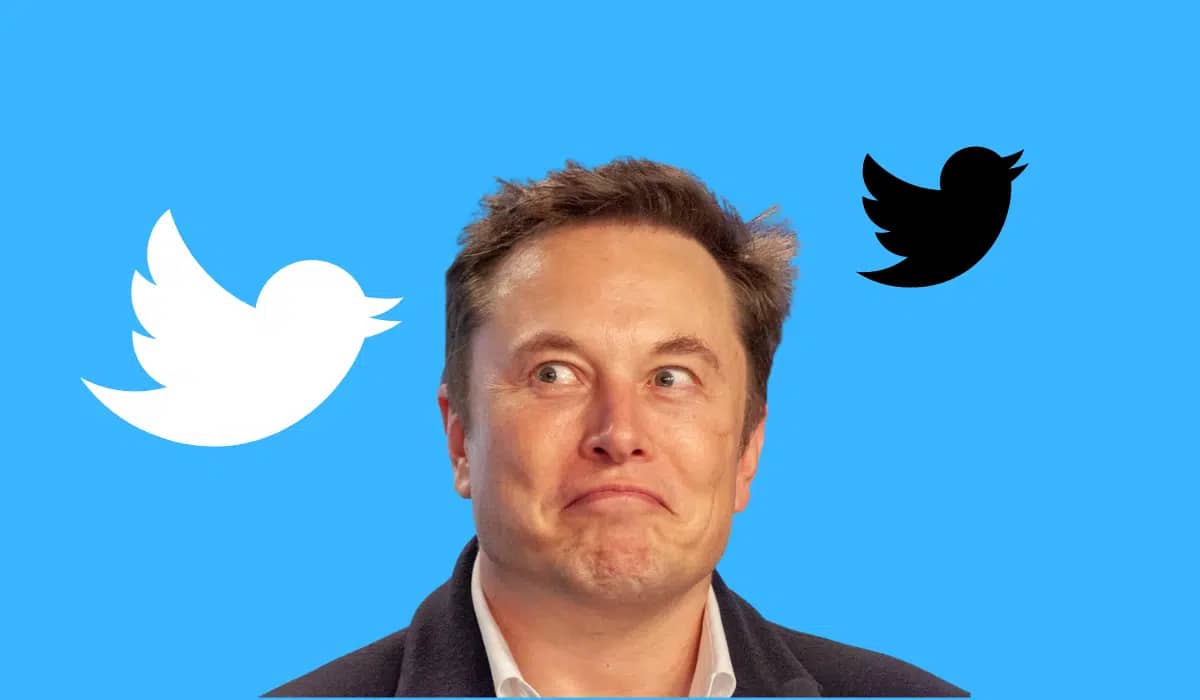 What does the future of Twitter look like under the Musk administration