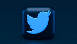 Some external services that provide users with access to the Twitter platform , such as: (Tweetbot), (Twitterific) and (Echofon), suffer from an outage