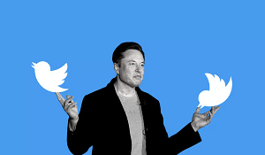 Here are the most important changes that have occurred in Twitter since Musk took over the management